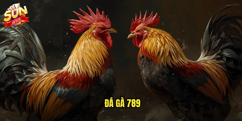 Sunwin đá gà 789 - Thương hiệu đá gà uy tín với tỷ lệ kèo hấp dẫn 3 Đá gà 789