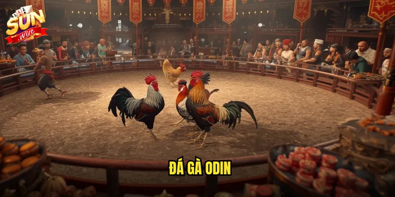 Đá Gà Odin Sunwin: Trải Nghiệm Đấu Trường Gà Thomo Đỉnh Cao Tại Cổng Game Uy Tín 8 đá gà Odin
