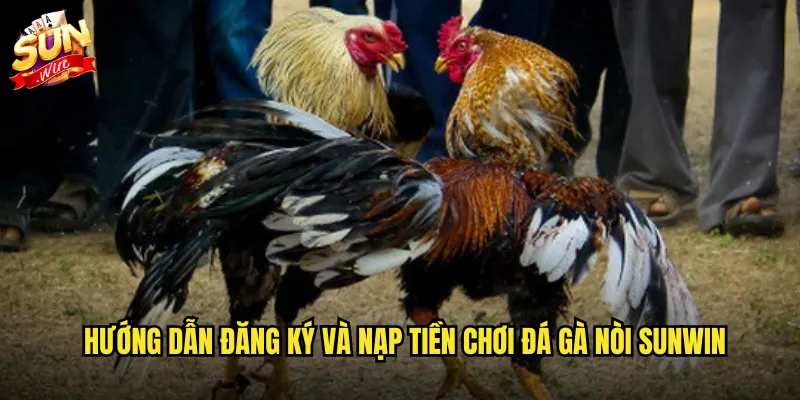 Sunwin - Thiên Đường Đá Gà Nòi Với Tỷ Lệ Thắng Cao Nhất 2 Hướng dẫn đăng ký và nạp tiền chơi đá gà nòi Sunwin